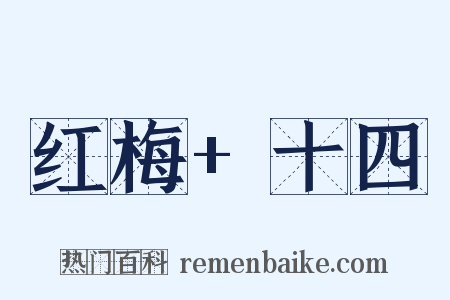 红梅+十四是什么意思的图片